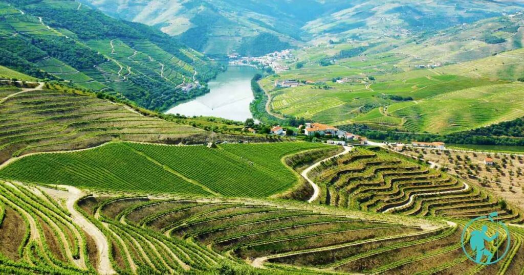 The Enchanting Landscapes of Douro Valley