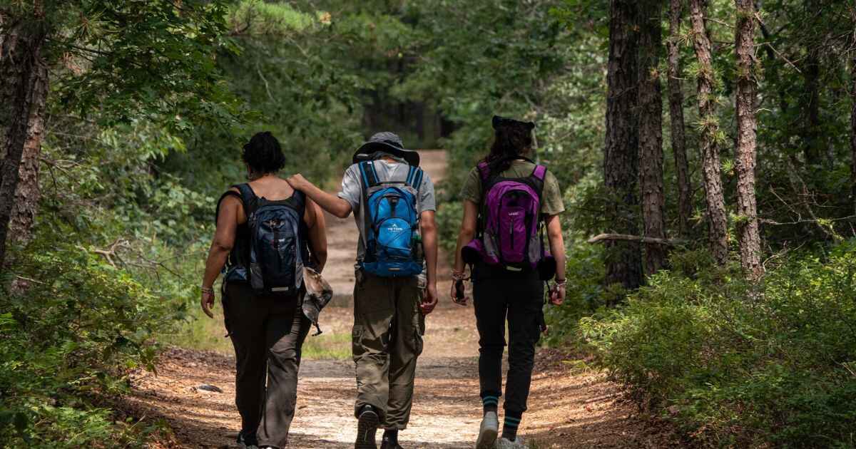 What To Do If Bitten By Arattlesnake While Hiking