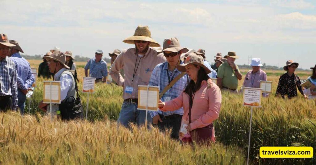 Seasonal Considerations for Farm Tours