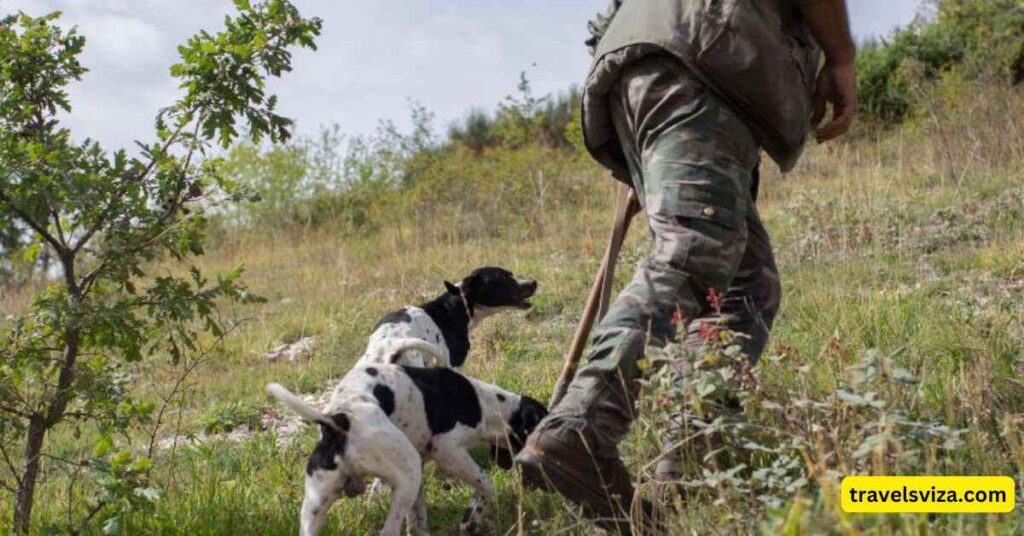 Tour 5 Truffle Hunting Adventure in Umbria