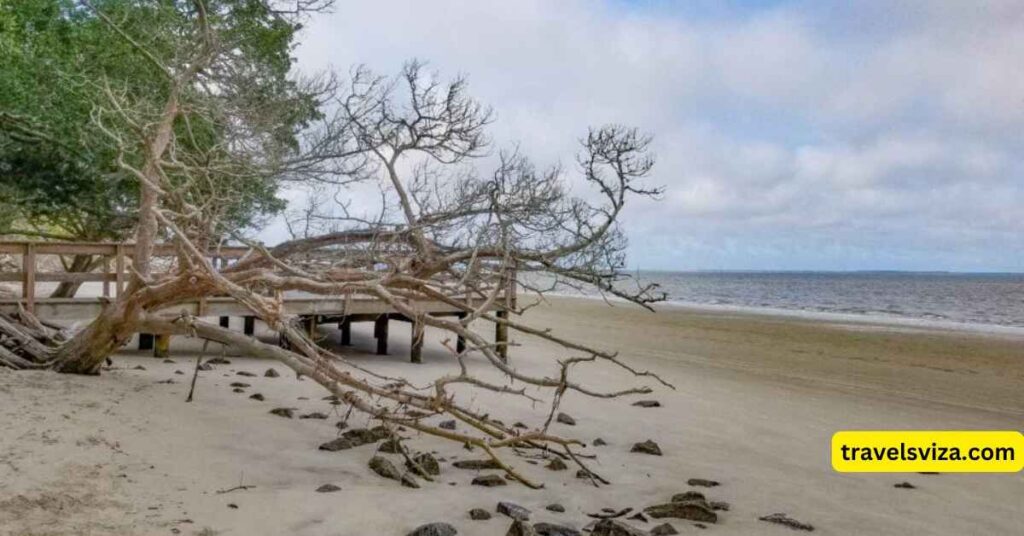 Visit Romantic Jekyll Island